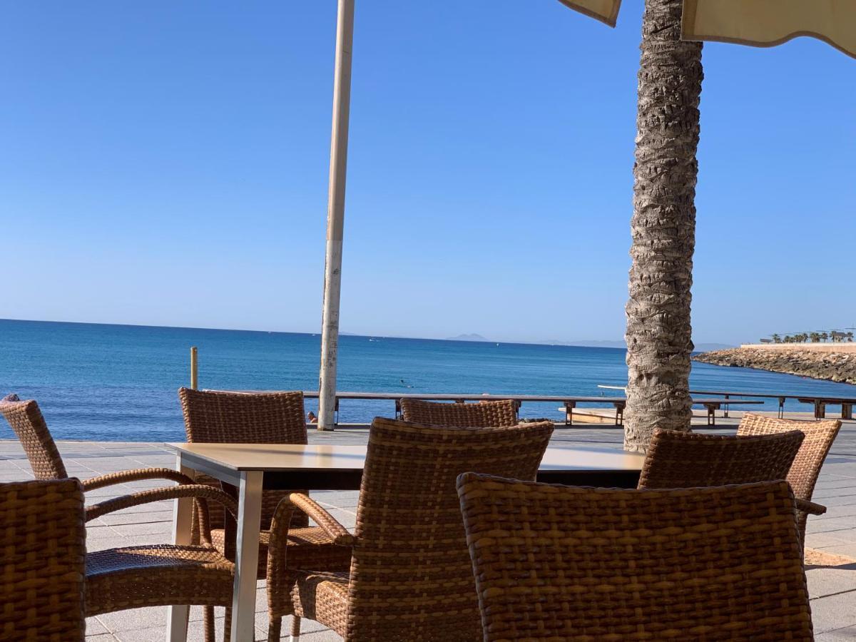 Residenz Ramon Gallud Torrevieja Zewnętrze zdjęcie